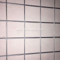 Hot Dipped Galvanized Welded Wire Mesh Panel